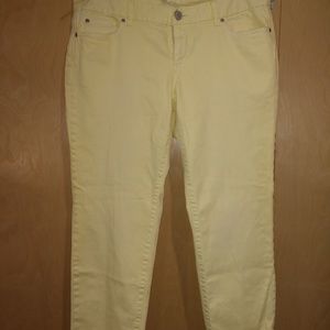 Ann Taylor Loft jeans